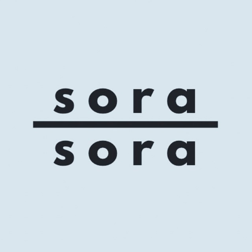 夢を叶える習慣化|soraオンラインプログラム